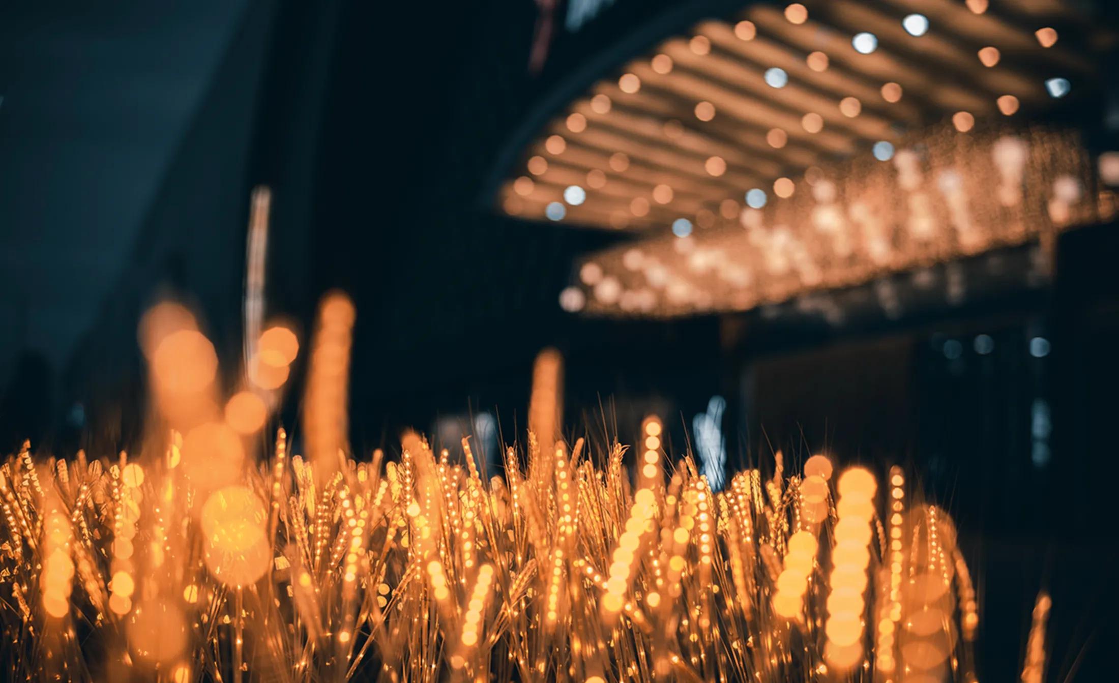 星曜50mmf0.95全画幅夜神,铭匠夜神50mmf0.95