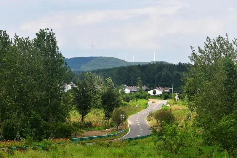 党建引领美丽乡村示范村建设 (红星村坚持党建引领建设美丽乡村)