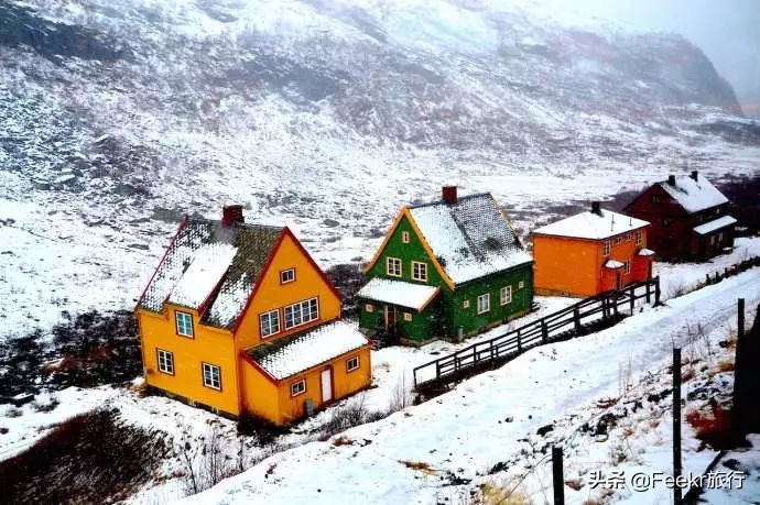 王珞丹35岁庆生照,王珞丹的生日是几月几号