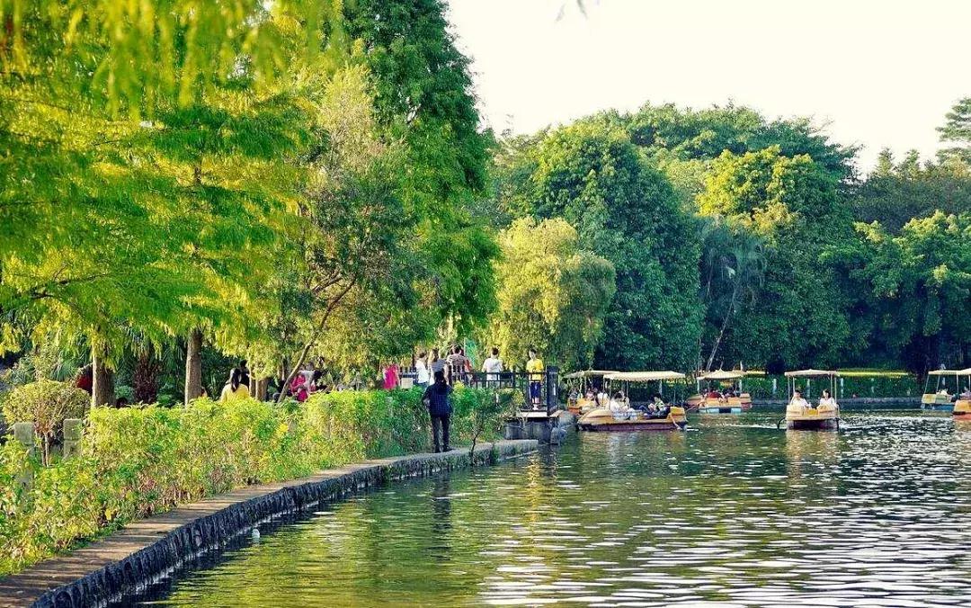 深圳建市四十周年,深圳市建市40周年从什么时候开始