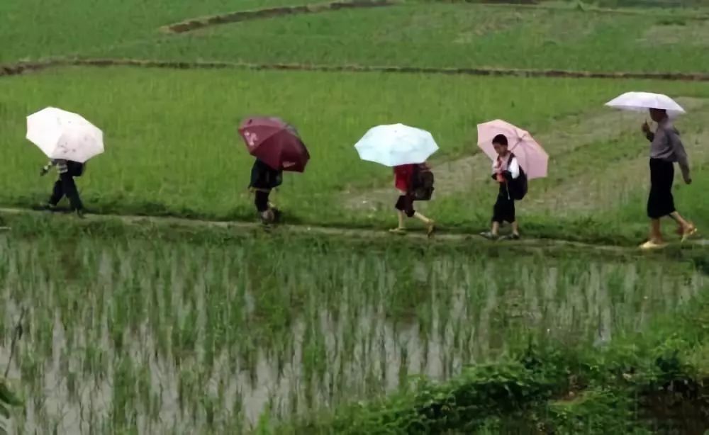 故乡让我很惶恐,故乡显得难以融入难以割舍