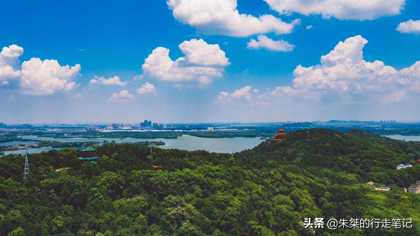 武汉是全球公认的三大赏樱胜地,世界三大赏樱胜地是无锡还是武汉