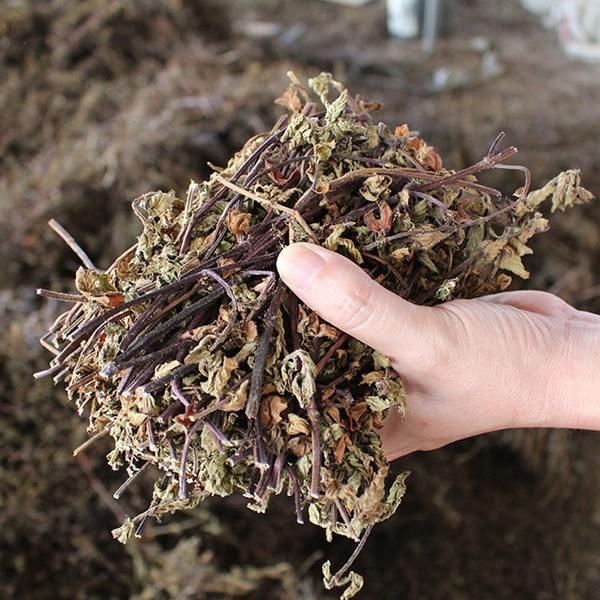 清热解暑的烧仙草做起来超级简单,烧仙草夏日解暑