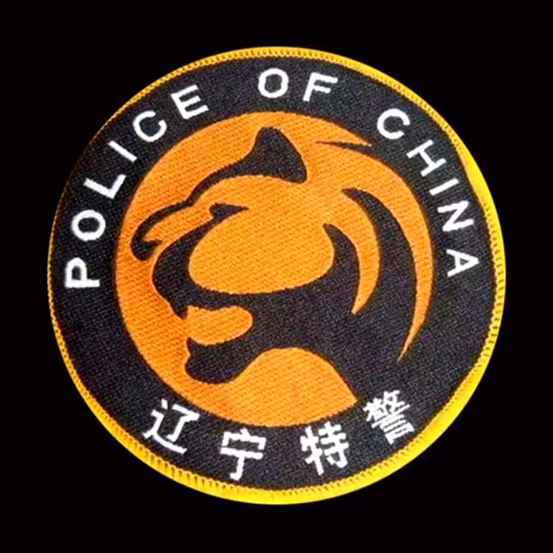 全国各个城市特警队臂章,公安特警帅图