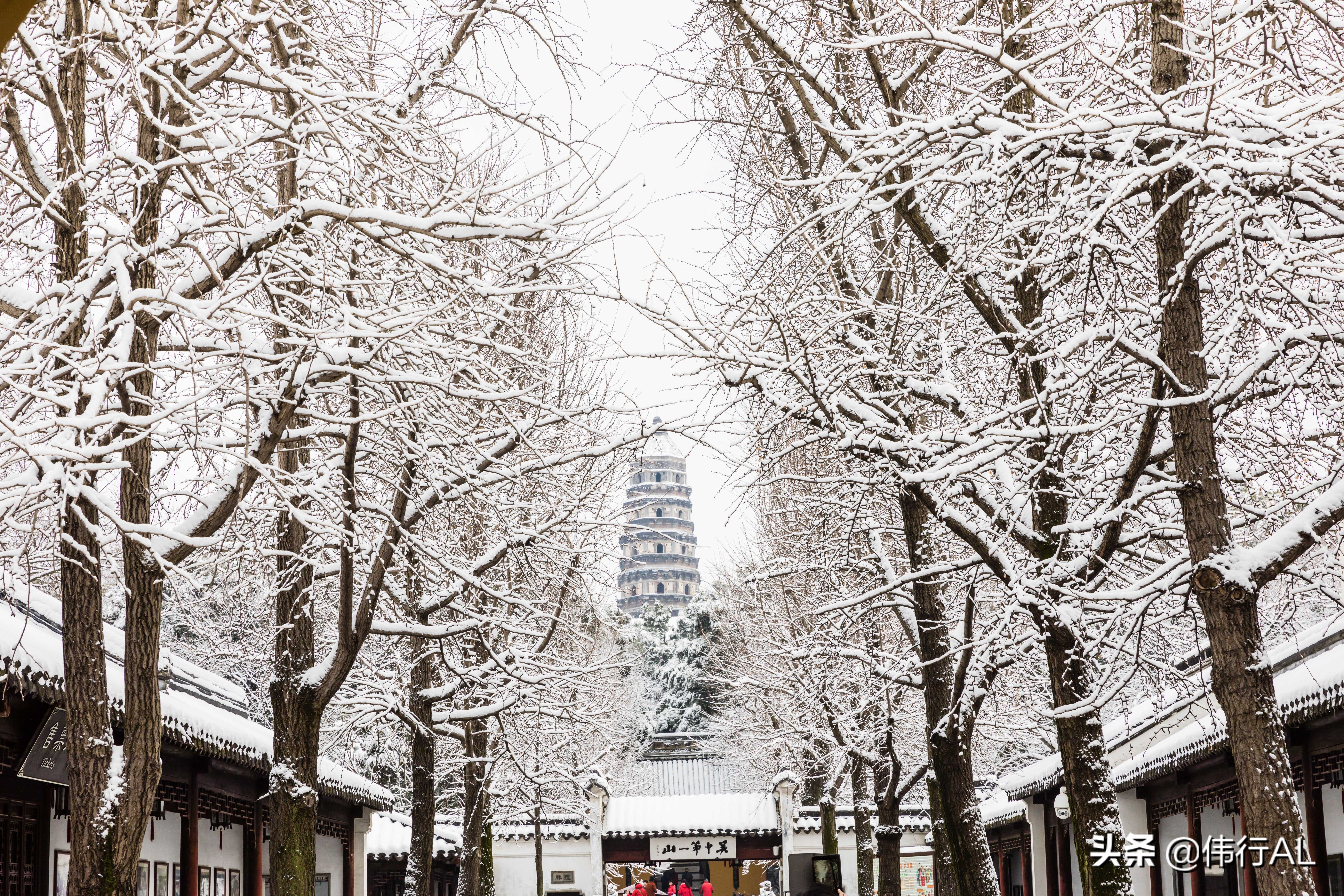 虎丘的十八景,吴中第一名胜虎丘纪念章