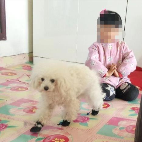 起底哈尔滨性侵5岁女童嫌犯“傻六子”:几乎天天酗酒,事发前喝了两瓶老白干,与养母靠捡废品为生