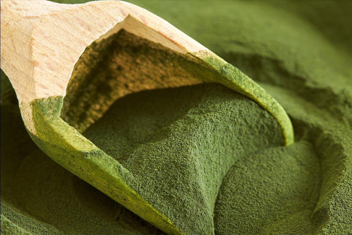 博美毛发稀少吃什么,博美毛发稀少不爱吃东西