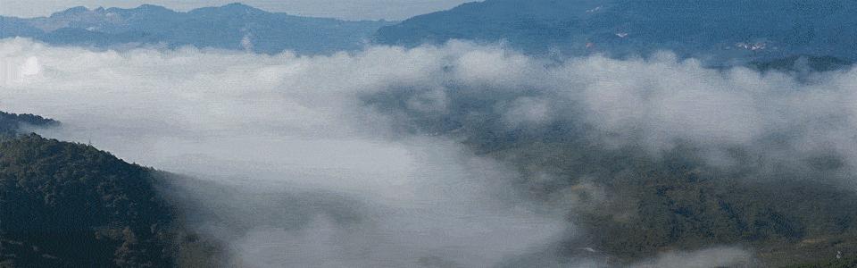 喝红茶加冰糖什么好处,饭后喝红茶有什么好处