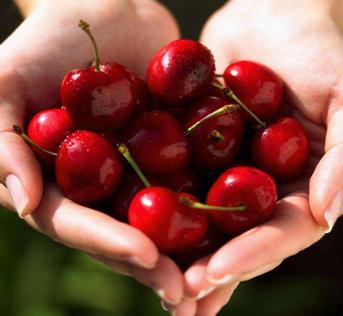 足球励志精辟感言,足球哲理与人生思考