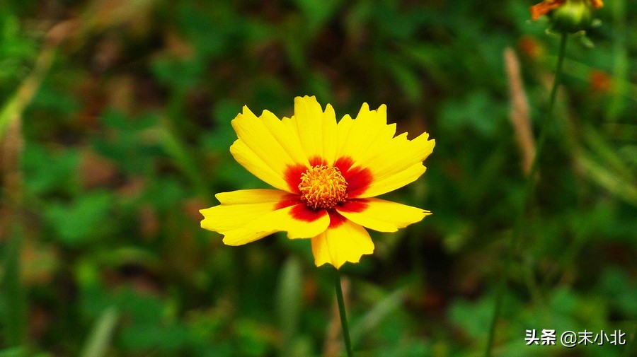 不要轻易嫁给穷男人,嫁给一个穷的男人