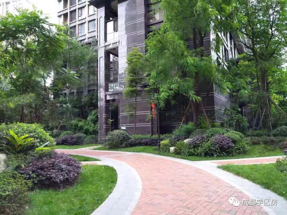 锦晖小学在成都市排名,成都锦晖小学的最新排名