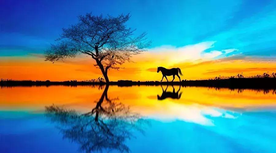 一匹马的故事,带你认识这个宇宙的真相!