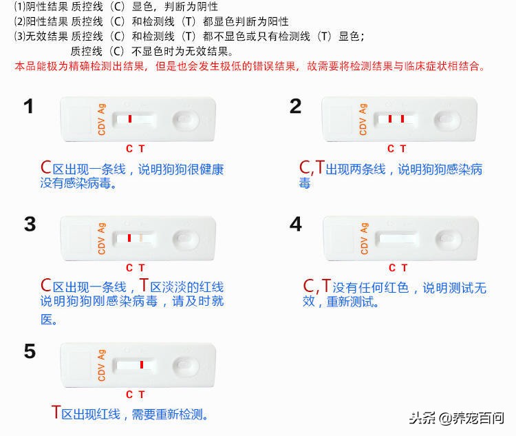 狗狗腹泻呕吐最快缓解方法,狗狗喂了螃蟹后呕吐拉肚子