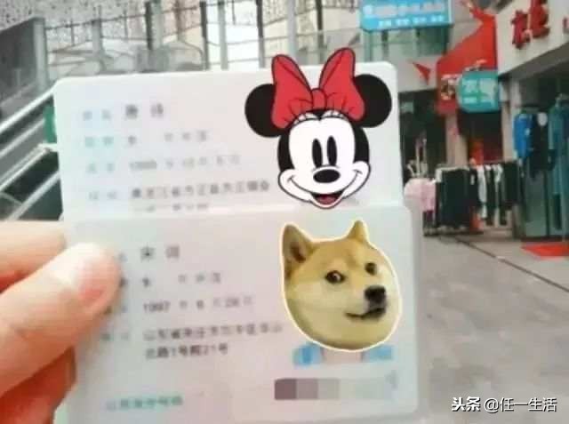 父母取名禤靐龘,禤靐龘起名