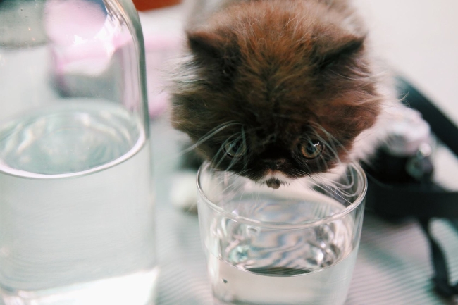 喝水不当竟会中毒如何健康饮水,喝水也会喝出病吗