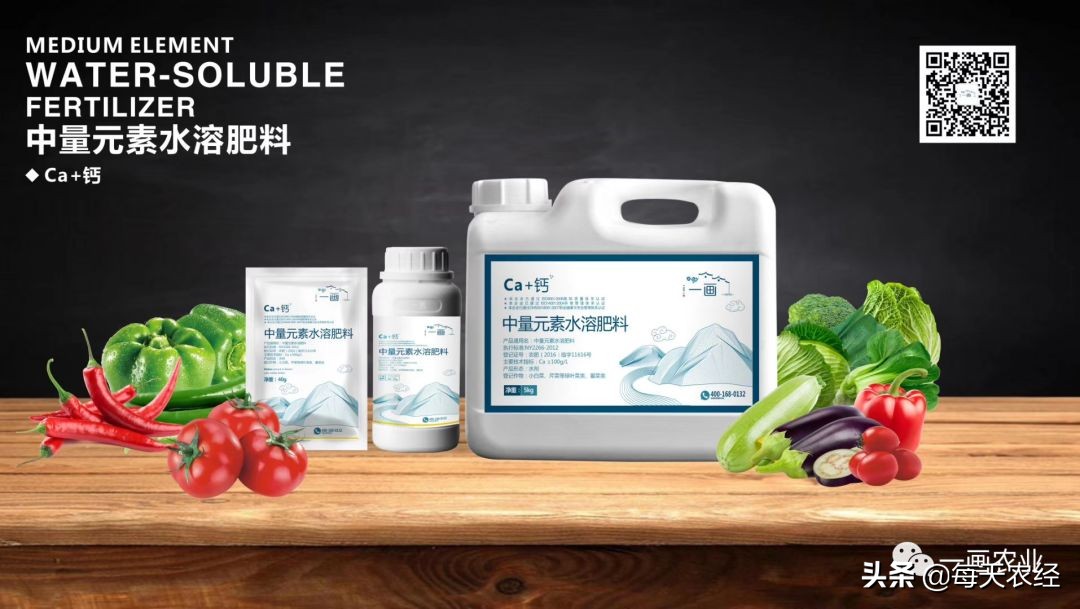 践行绿水青山就是金山银山,践行绿水青山就是金山银山的案例