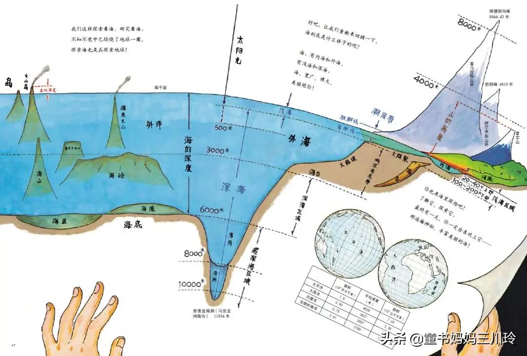 鏃ユ湰绉戝涔嬬埗,鏃ユ湰绉戝缁樻湰