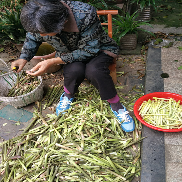 竹笋焯水后晒几成干放冰冻最好,莴笋笋干怎么晾晒