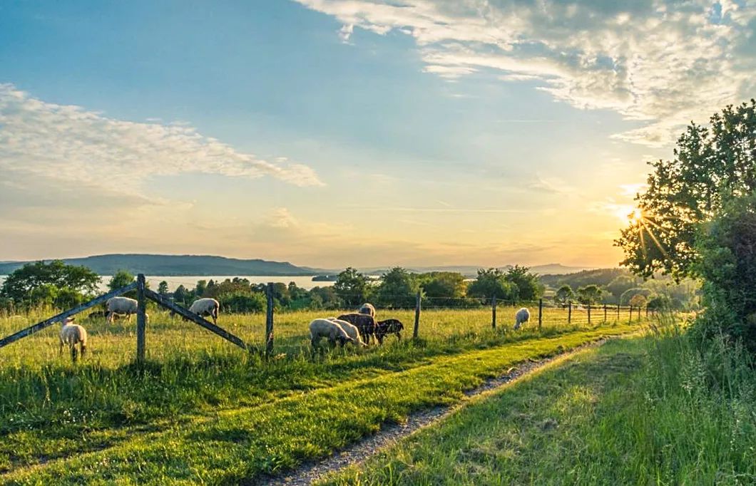 离中国近的东南亚海岛推荐,东南亚最舒服的海岛