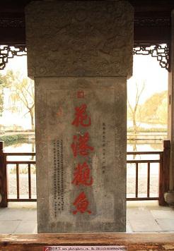 错别字小学生,错别字大师小学生