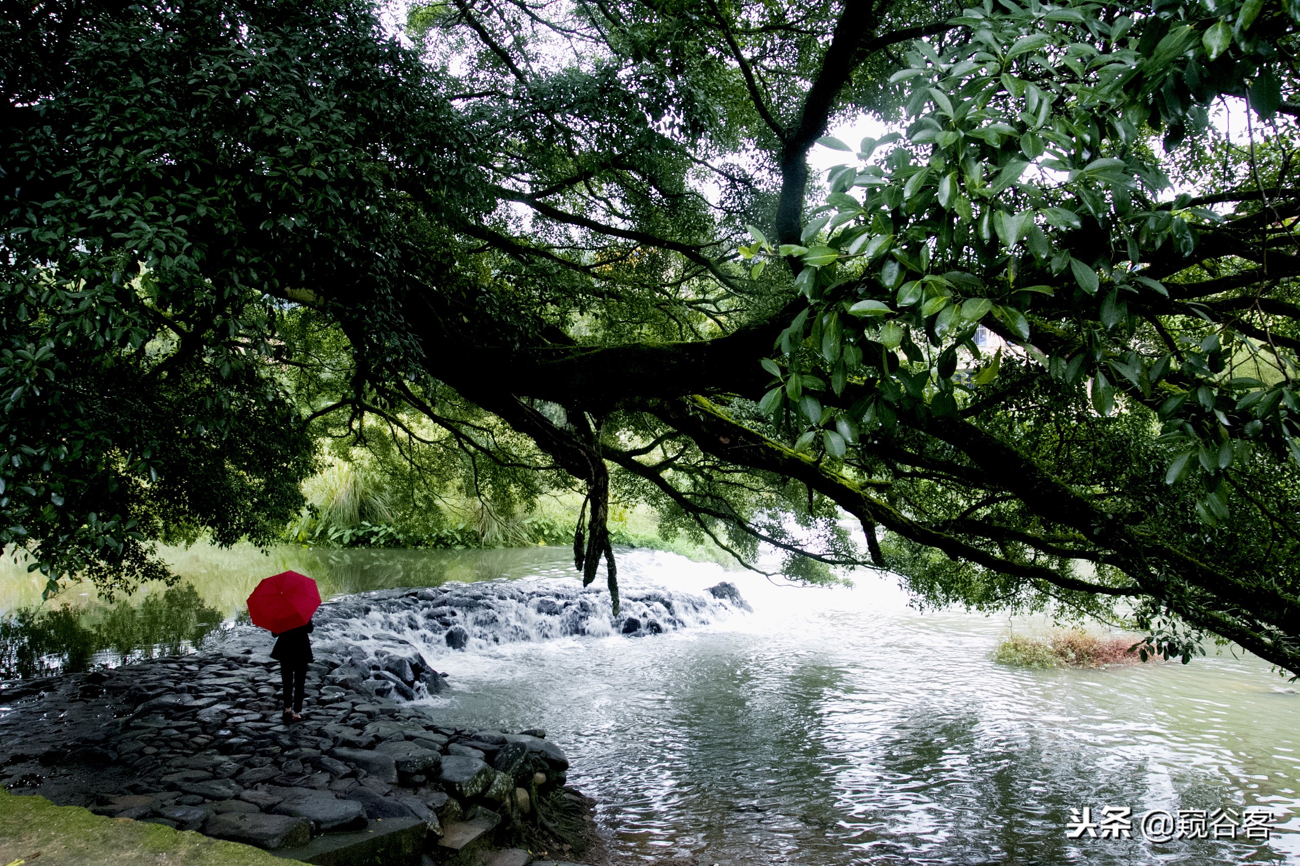 不可错过的英文歌,不可错过的云水谣
