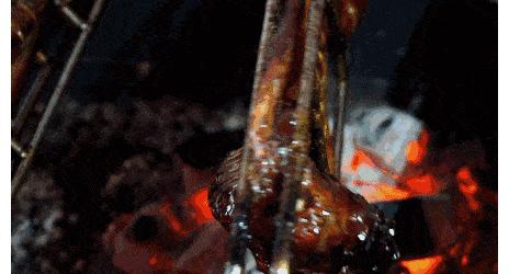 四川人此生最大的疑惑，兔子为啥能把澳大利亚人逼疯（菲李漫画）