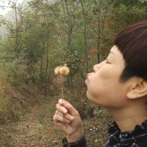 春季开学典礼教学副校长讲话稿,春季开学典礼致辞范文