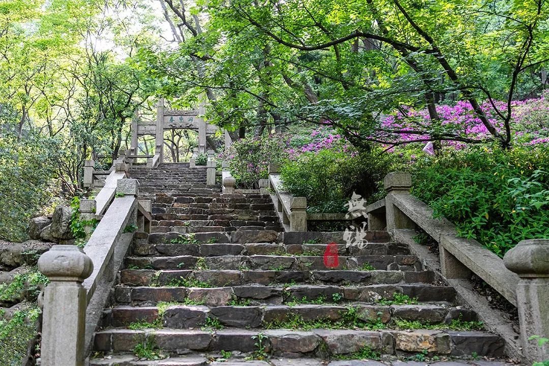 惠山古镇天下第二泉竹筒茶,惠山古镇天下第二泉