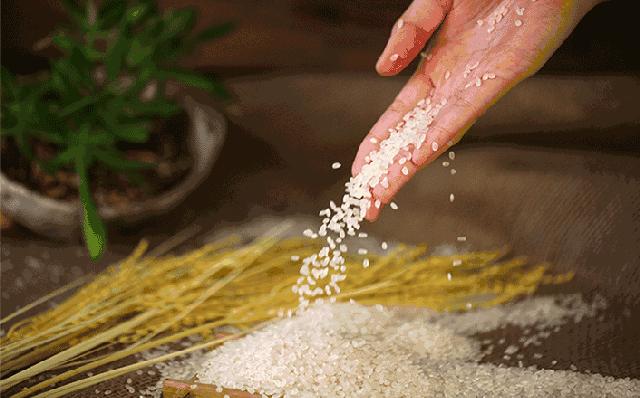 苏州正宗的韩国石锅拌饭,超正宗的韩式石锅拌饭