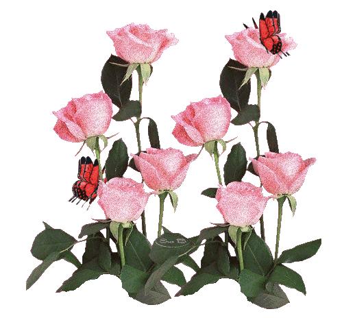 周五早上好！清晨起来笑一笑，开心一天没烦恼，祝好运天天到