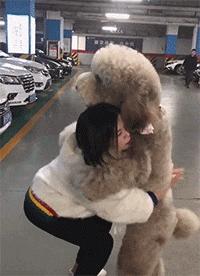 为啥加油站月薪两千还没人辞职,加油站上班工作强度大吗累吗