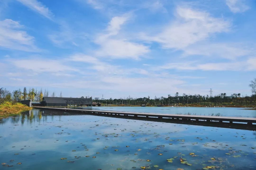 成都周末遛娃游推荐,遛狗公园成都