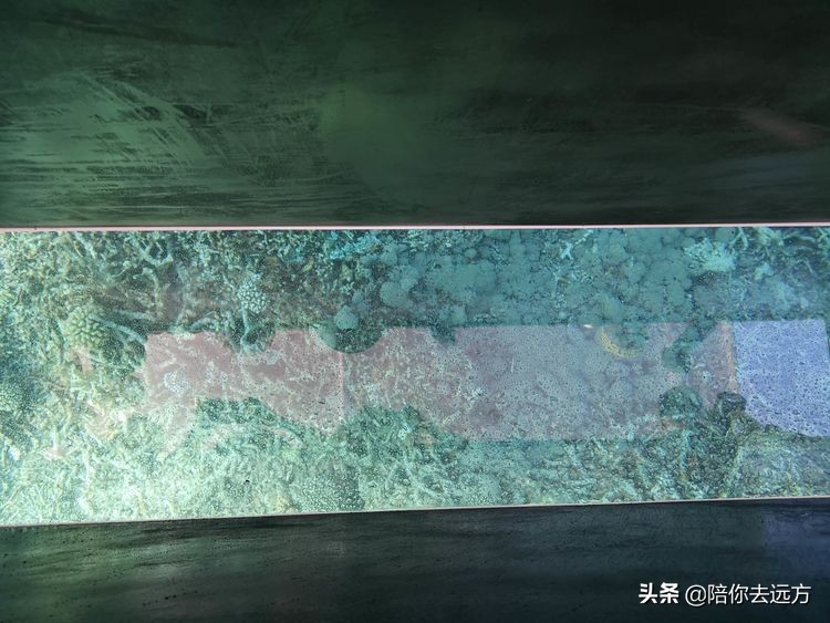 南海西沙岛礁全图,南海西沙群岛海域