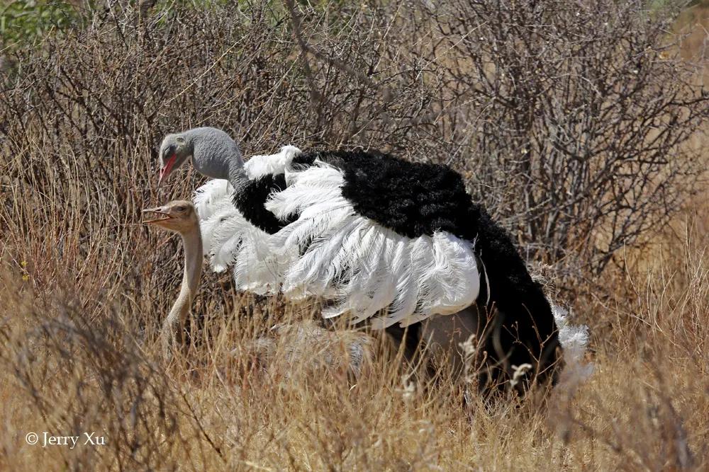 情人节适合干什么事,情人节对方做过最让你感动的事