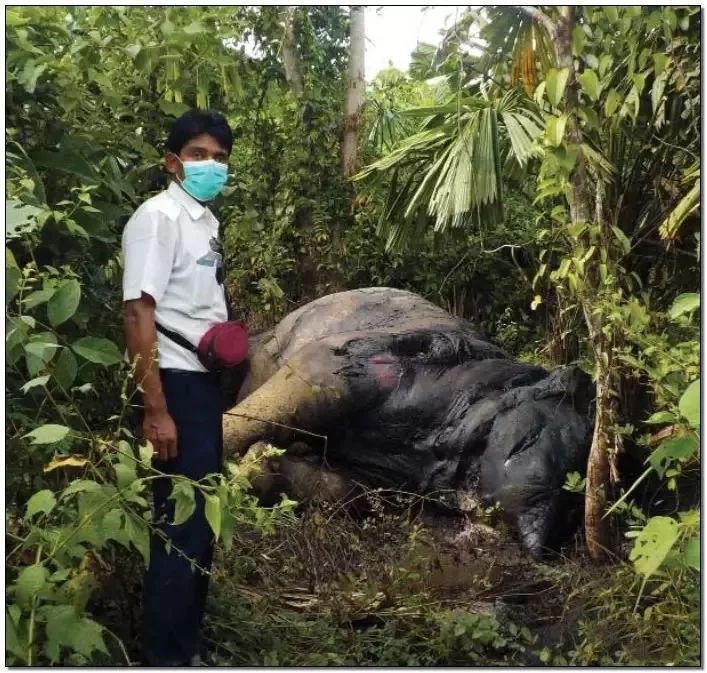 文玩的十大黑幕,文玩最让人无奈的六件事