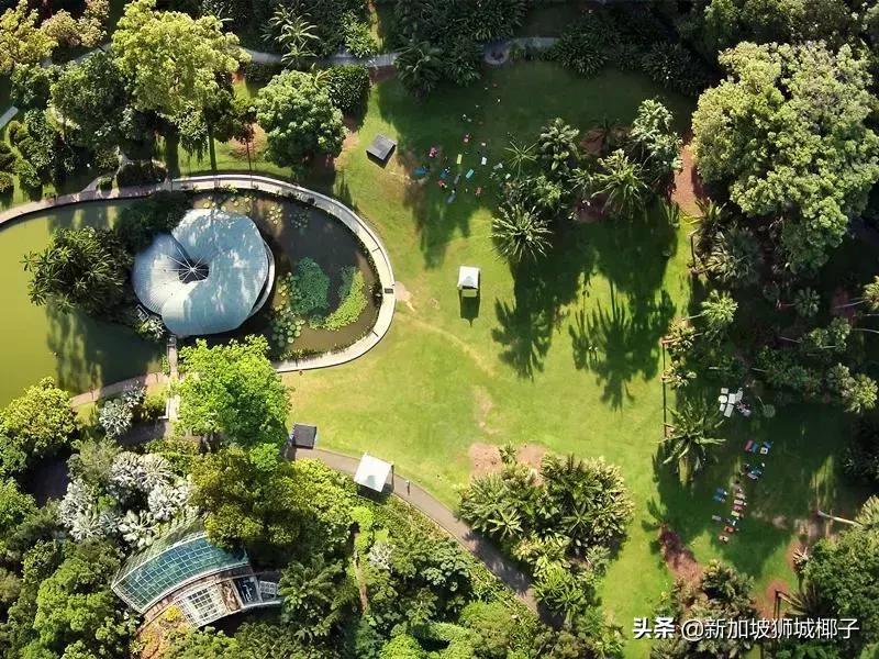 新加坡旅游攻略推荐花园,新加坡花园最新消息