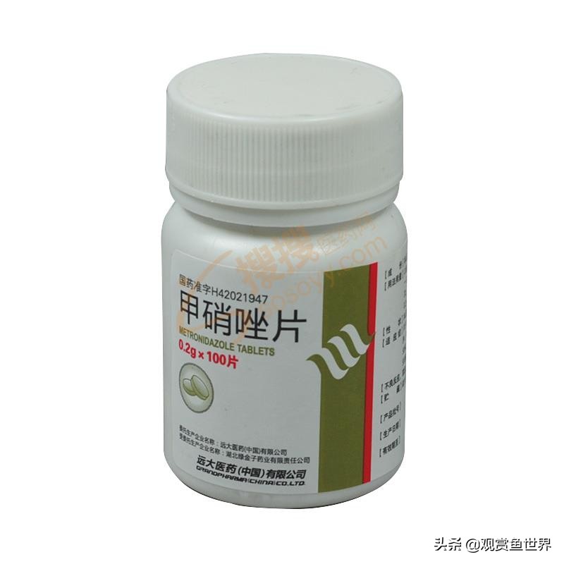 红财神鹦鹉,财神鹦鹉掉鳞怎么恢复