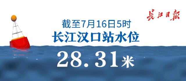 武汉双评议结果,武汉市“双评议”