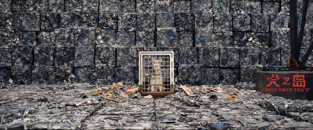 你是什么垃圾完整歌词,你是什么垃圾小说讲了什么