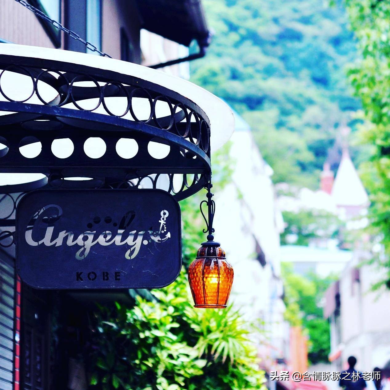 家里植物长得不好有什么说法,家里什么植物都养不好是什么原因