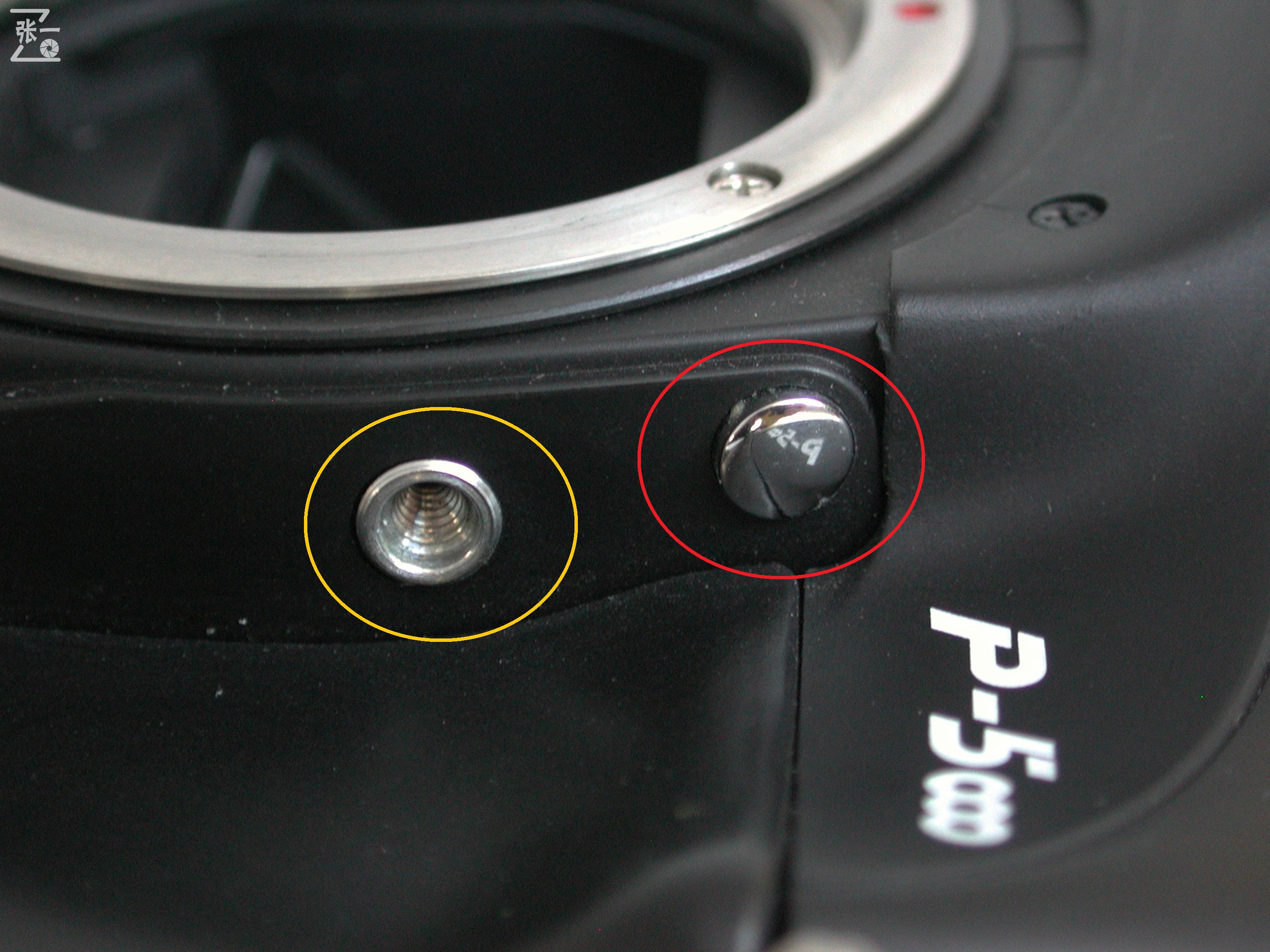 上海海鸥为美国贴牌生产的PhoenixP-5000单反相机