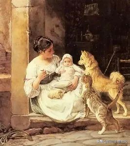 猫的故事,猫的故事视频