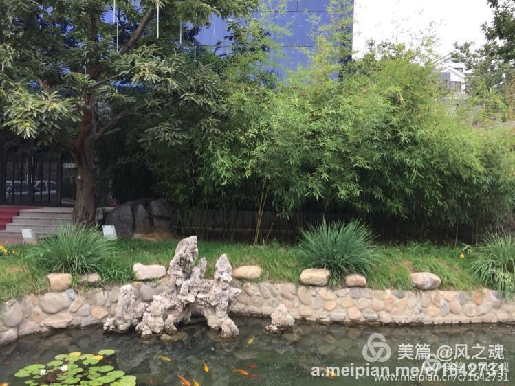 遵化汤泉御泉宫,遵化福泉宫汤泉