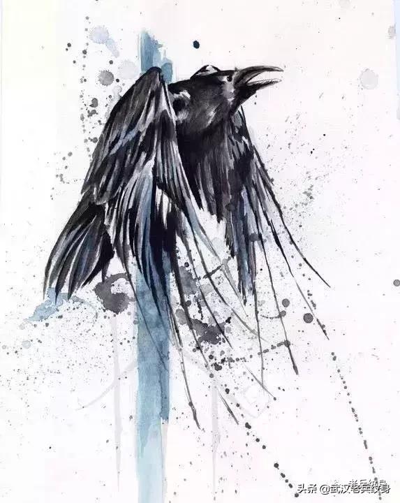 水墨凤凰纹身高清图,水墨纹身图案大全男