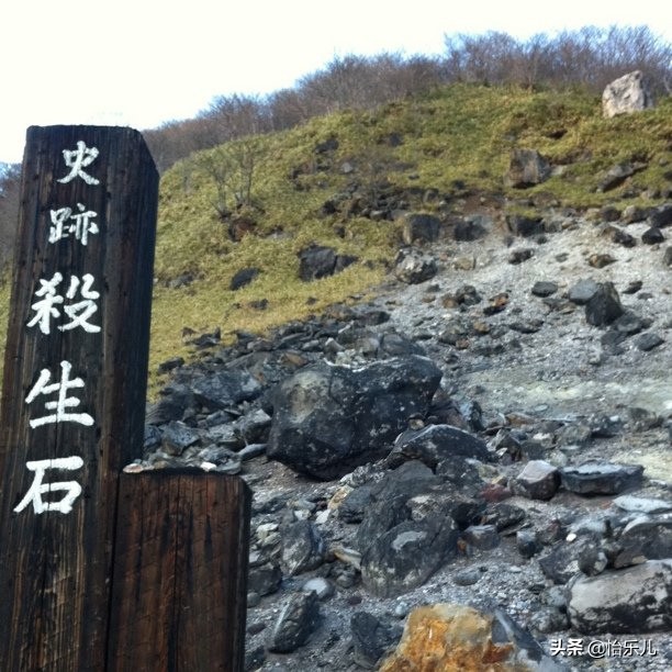 青丘之山有兽焉下一句,青丘之山里真的有九尾狐吗