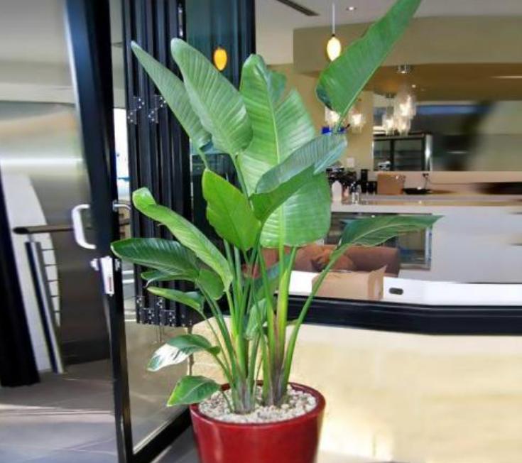 快速除甲醛入住的方法有几种,如何才能真正有效快速除甲醛