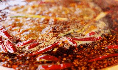 秦妈火锅创业史,秦妈火锅发展历程