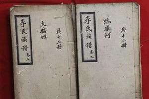 历史上真实族谱,历史遗留族谱