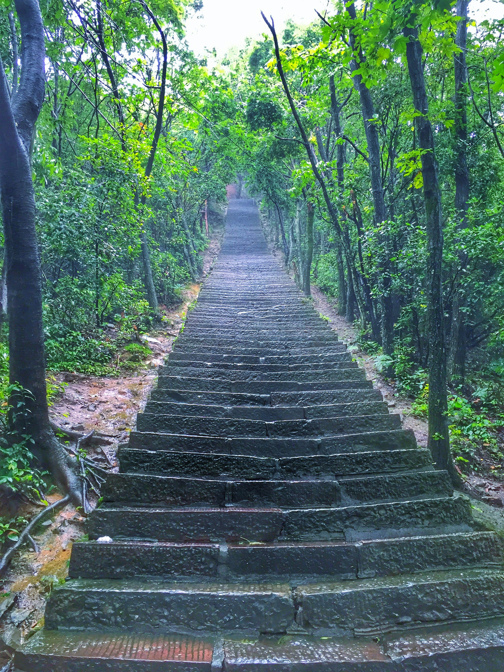 张家界与凤凰古城旅游攻略,张家界凤凰古城跟团游