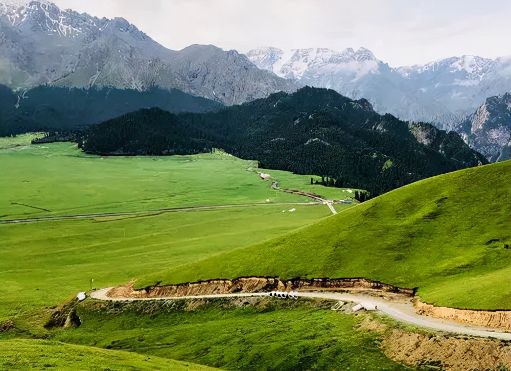 万里丝绸路,万里茶道丝绸之路